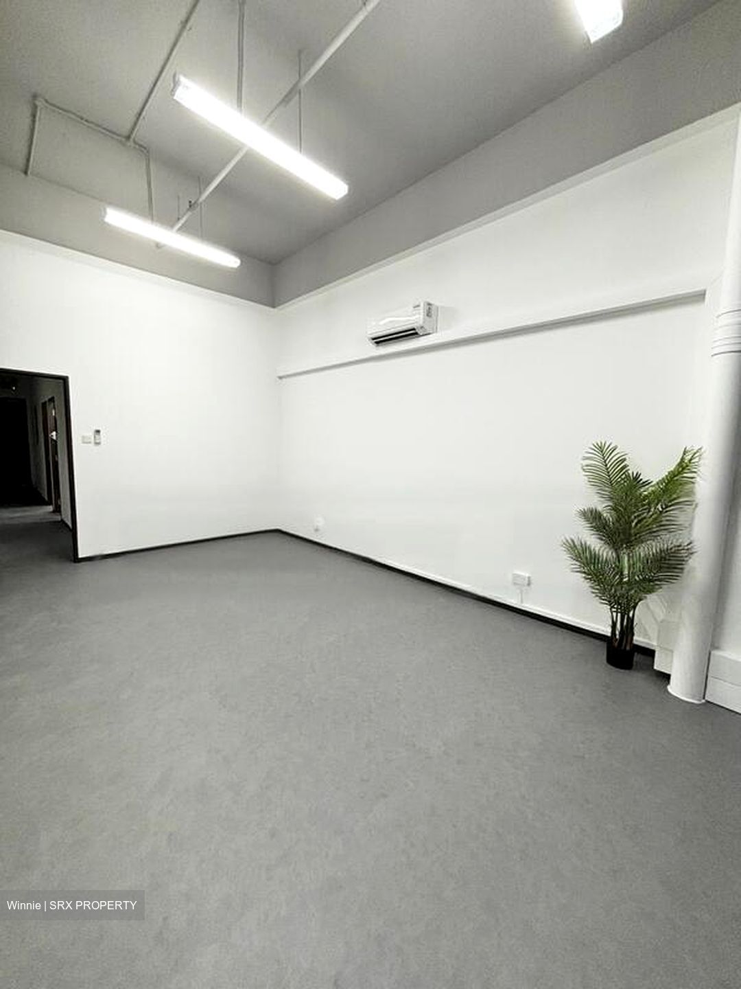 Primz Bizhub (D25), Factory #463004761